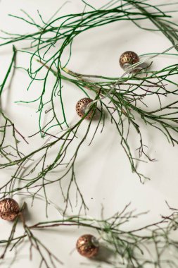 Yeşil dallar beyaz arka planda yatar. Ve yakınlarda mumlar ve fenerler var.