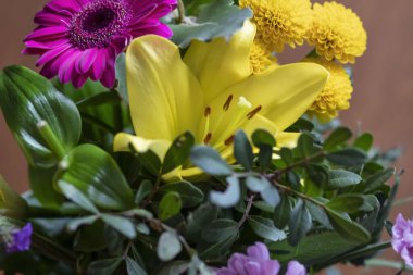 Güzel bahar çiçekleri. Farklı türde çiçekler..