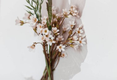 Beyaz bir duvarda kır çiçekleri.