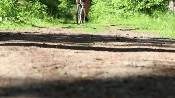 Hombre Monta Bicicleta Por Bosque — Vídeo de stock