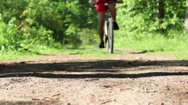 Een Man Fietst Door Het Bos — Stockvideo