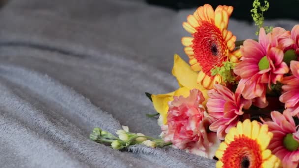 Des Fleurs Chien Des Cadeaux Reposent Sur Les Couvertures — Video