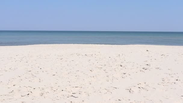 Jovem Casal Está Caminhando Pela Praia Verão Quando Estiver Quente — Vídeo de Stock