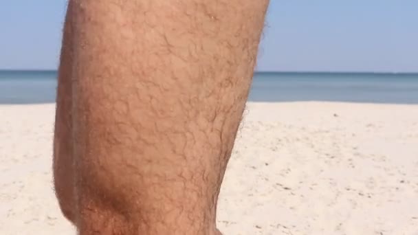 Jeune Couple Marche Long Plage Été Quand Fait Chaud Tenez — Video