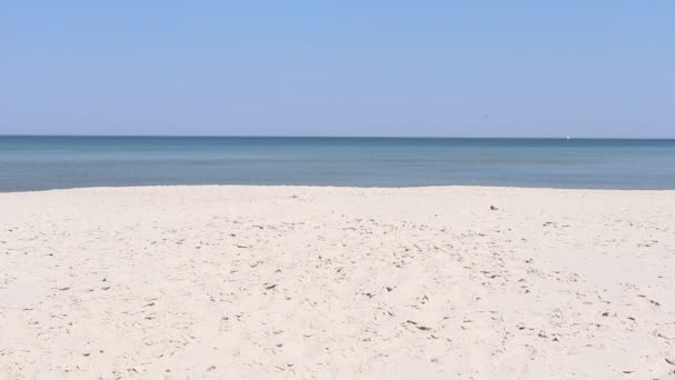 Jeune Couple Marche Long Plage Été Quand Fait Chaud Tenez — Video