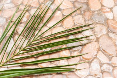 Yaz geçmişleri. Çakıl taşı. Çakıl taşları, şapkalar ve palmiye yaprakları, bir bardak meyve suyu