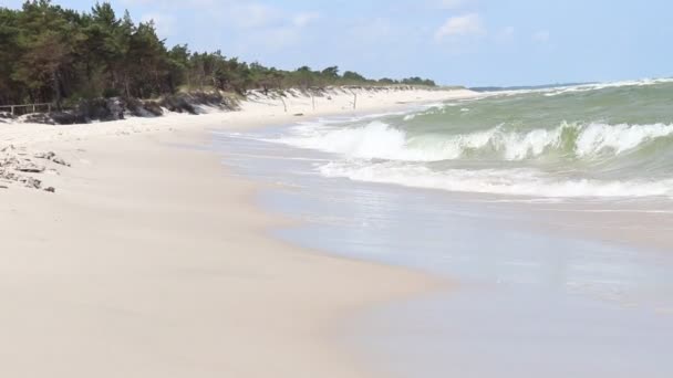 Junges Mädchen Läuft Strand — Stockvideo