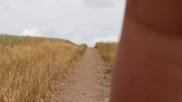 Uma Jovem Caminhando Campo Trigo — Vídeo de Stock