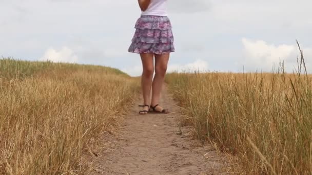 Ein Junges Mädchen Geht Einem Weizenfeld — Stockvideo