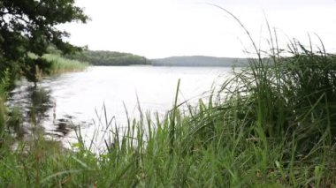 Güzel ve büyük bir göl manzarası. Gölün etrafında güzel bir park var.