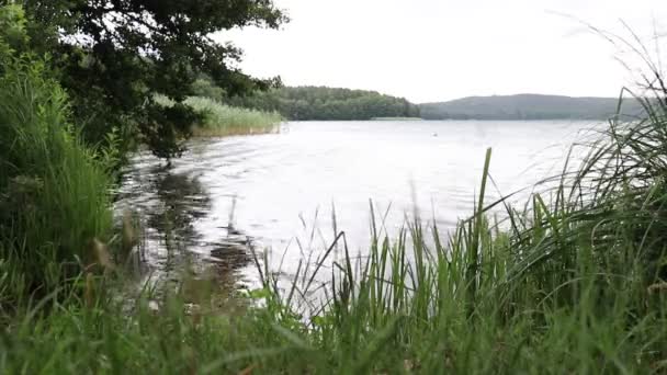 Vista Bellissimo Grande Lago Bellissimo Parco Intorno Lago — Video Stock