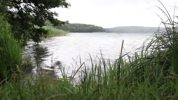 Vue Sur Beau Grand Lac Beau Parc Autour Lac — Video