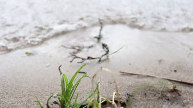 Dalgalarla dolu güzel bir gölün kıyısı. Kıyı kumlu, ılık bir yaz günü..