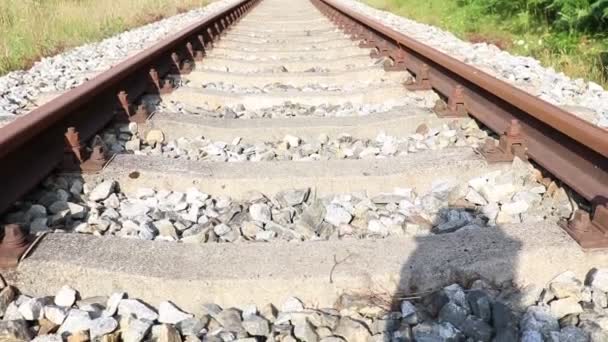 Ferrovia Parque Árvores Verdes Volta Ruas São Verão — Vídeo de Stock