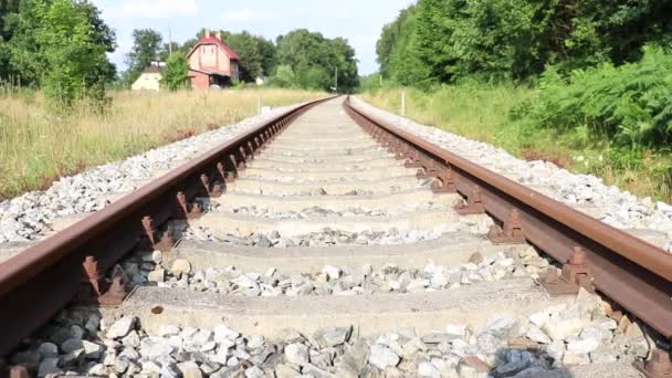 Parktaki Demiryolu Her Yerde Yeşil Ağaçlar Var Sokaklar Yaz — Stok video