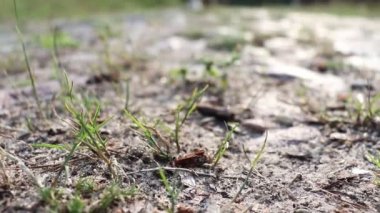 Taş bir platformda, bir adam yol boyunca yürür..