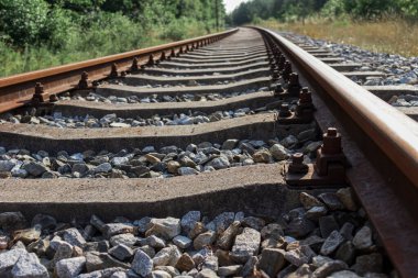 Demiryolu ormandan geçiyor. Güzel yaz havası