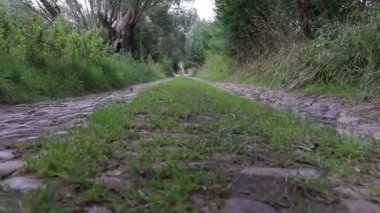 Eski yol büyük taşlarla kaplı. Çimler büyür