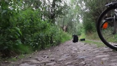 Eski yol büyük taşlarla kaplı. Çimler büyür