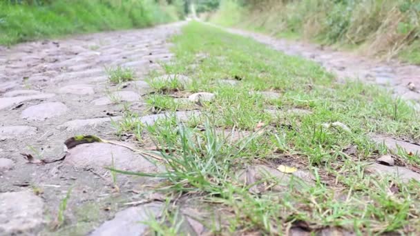 Viejo Camino Está Bordeado Grandes Piedras Hierba Crece — Vídeo de stock