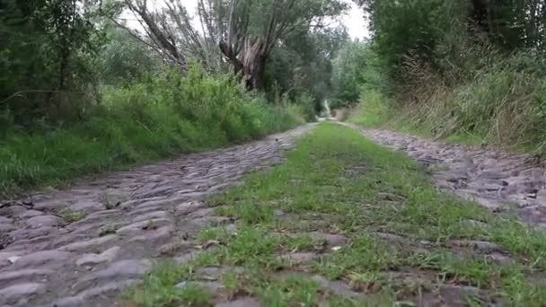 Oude Weg Omzoomd Met Grote Stenen Het Gras Groeit — Stockvideo