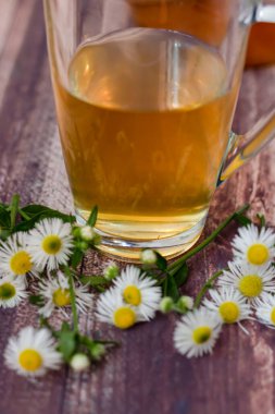 Ahşap arka planda papatya çayı. Bir fincan papatyanın yanında.