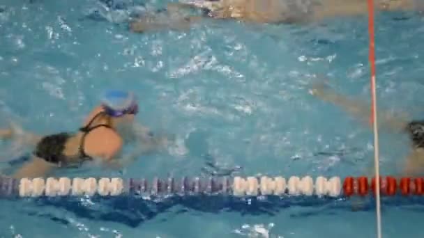 Nadadores en la piscina . — Vídeos de Stock