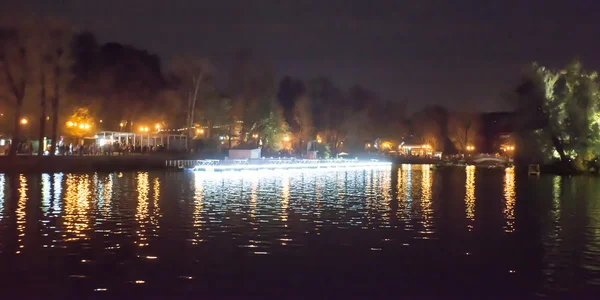 Gorky Park at night