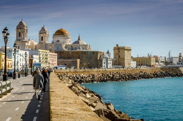 Cathedral Cadiz — Stock Photo, Image