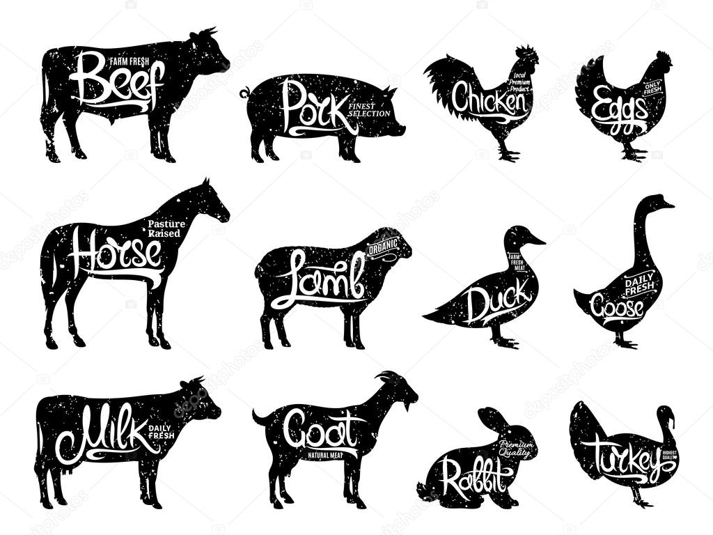 Set of butchery logo. Farm animals with sample text. Retro styled farm animals silhouettes collection for groceries, meat stores, packaging and advertising. Vector logotype design.
