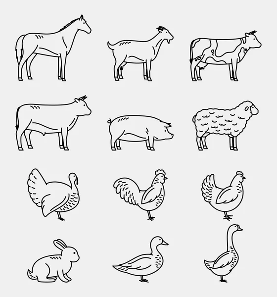 Vector Thin Line Farm Animals Icons Collection — Stock Vector