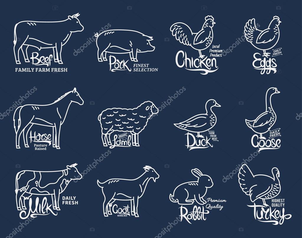 Set of butchery logo templates. Farm animals with sample text. Modern thin line farm animals icons collection for groceries, meat stores, packaging and advertising. Vector logotype design.