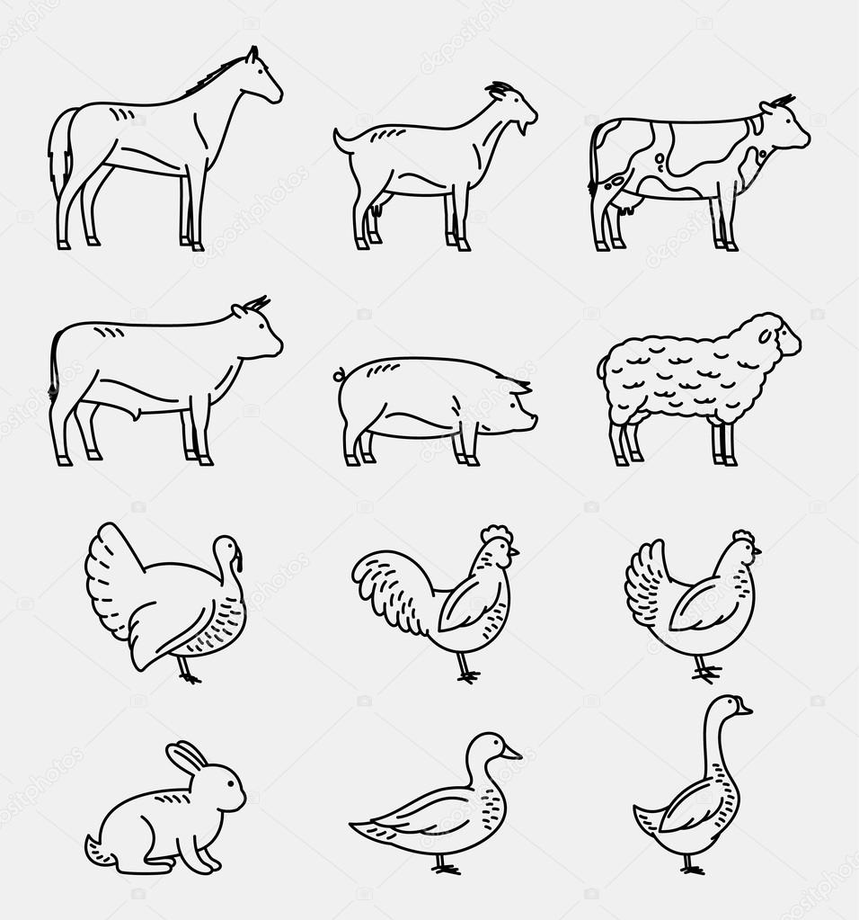 Vector Thin Line Farm Animals Icons Collection