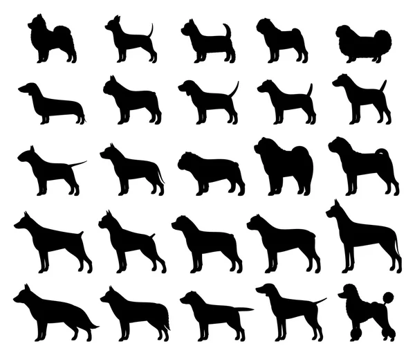 Vector dog breeds silhouettes collection isolated on white — Stock Vector