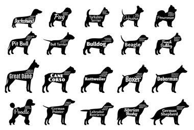Vektör köpek siluetleri toplama üzerinde beyaz izole. Köpekler doğurmak adları