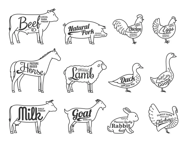 Vector Butchery Logo. Farm Animals Thin Line Icons Collection Is — Stock Vector