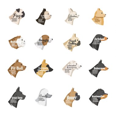 Beyaz izole vektör köpek Icons collection