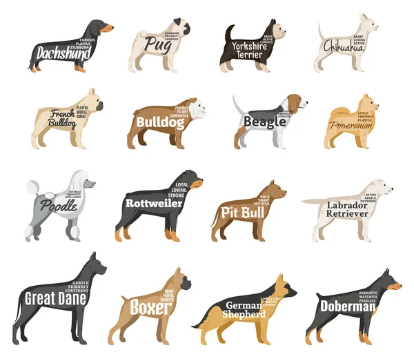 Colección de siluetas vectoriales para perros aisladas en blanco — Vector de stock