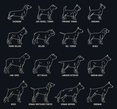 Vektör köpek ince çizgi Icons collection köpek doğurmak isimleri ile