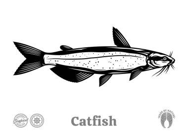 Beyaz arkaplanda izole edilmiş vektör yayın balığı illüstrasyonu