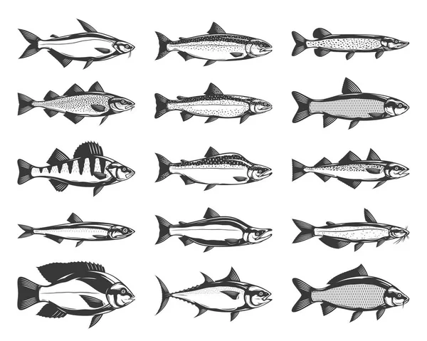 Εικονογραφήσεις Διανυσματικών Ψαριών Που Απομονώνονται Λευκό Φόντο — Διανυσματικό Αρχείο