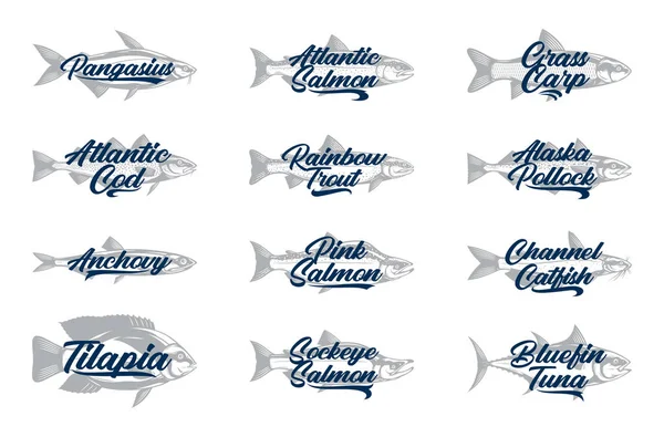 Ensemble Étiquettes Poissons Vecteurs Collection Illustrations Poissons — Image vectorielle