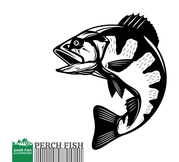 Illustration Poisson Perchoir Vecteur Isolé Sur Fond Blanc — Image vectorielle