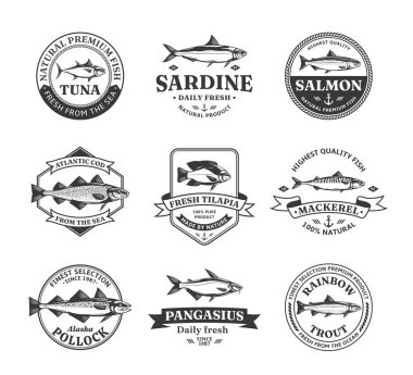 Balıkçılık, deniz ürünleri pazarları, ambalaj ve reklamlar için vektör balık logosu ve balık çizimleri