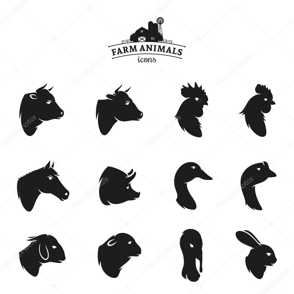 Farm Animal Icons Isolated on White