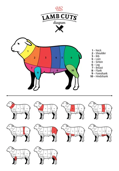 Diagramma americano (USA) di tagli di agnello — Vettoriale Stock