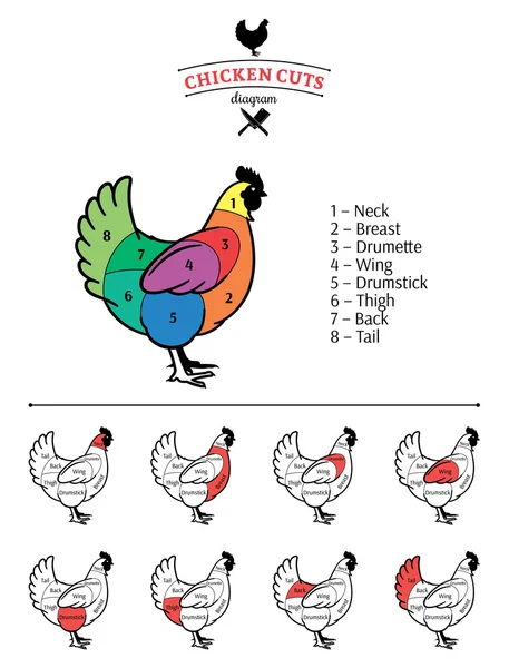 Diagrama de cortes de pollo — Archivo Imágenes Vectoriales