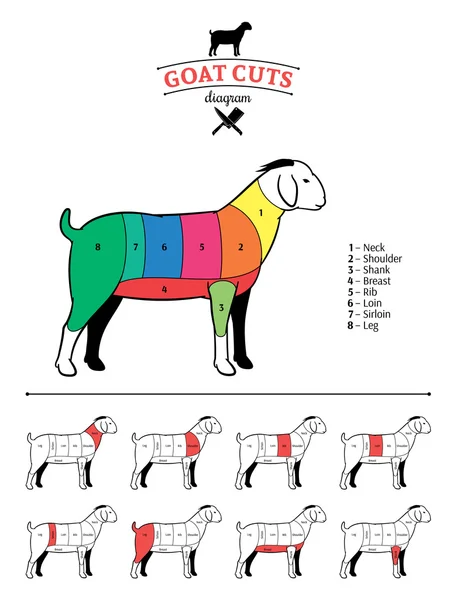 Diagrama de cortes de cabra —  Vetores de Stock