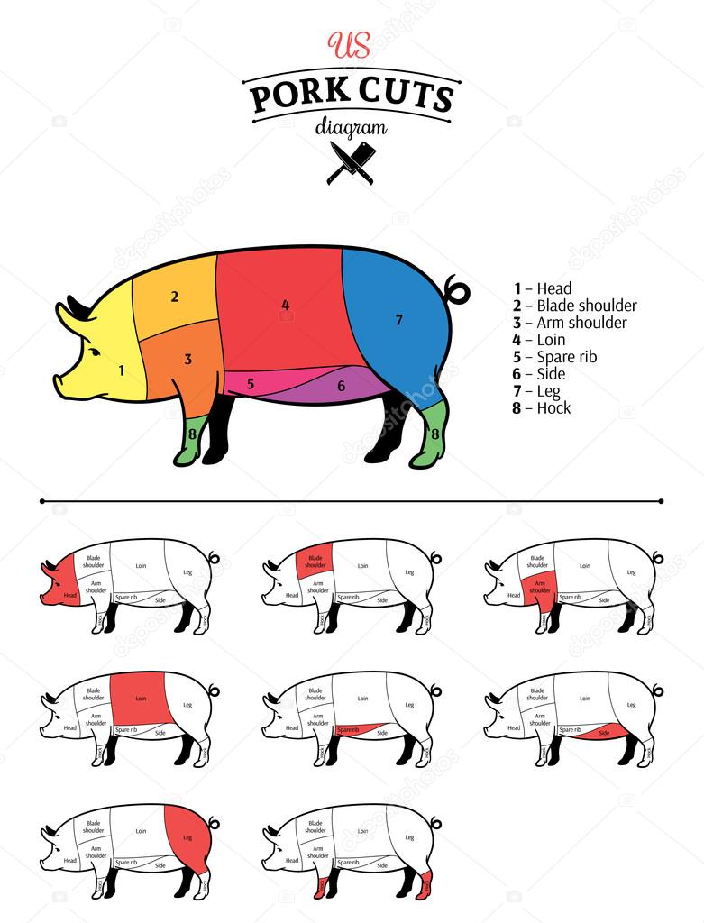 American (US) Pork Cuts Diagram