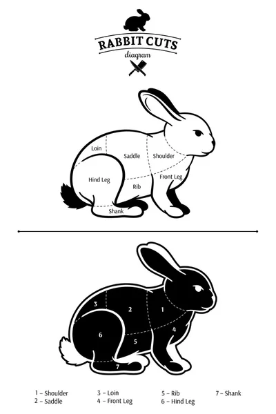 ウサギ カット白で隔離黒と白図 — ストックベクタ